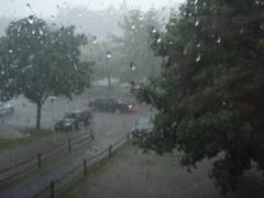 Alertă de ploi torenţiale, vijelii în România