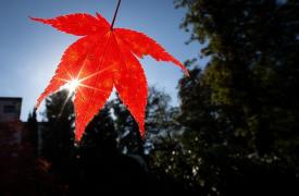 Părinţii aşteaptă prognoza meteo pentru a ştii cum să-şi îmbrace copiii