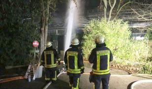 Zeci de maimuțe au murit în incendiul de Revelion de la Krefeld