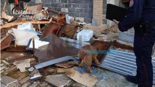 Românul ar putea fi extrădat pentru fapta sa