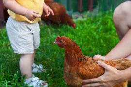 Cum poți asigura familiei tale ingredientele potrivite pentru o alimentație sănătoasă