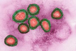 Virusul Wuhan a dus la moartea a 9 persoane, până în prezent