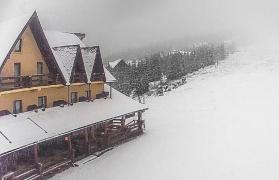 Cod galben de ninsori in 26 de judeţe