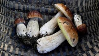 Românii sunt acuzaţi şi de trafic de persoane