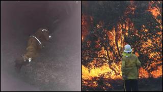 Incendii în Australia