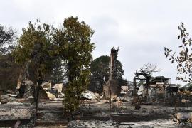 Ţările din Pacific trimit ajutor Australiei