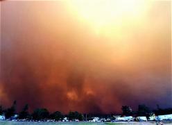 Dezastru în Australia, unde incendiile au produs distrugeri istorice