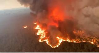 Incendiile de vegetaţie s-au soldat cu zeci de morţi şi pagube uriaşe