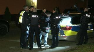 Români în Germania