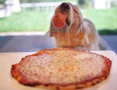 Cum să îți potolești foamea rapid cu mâncare gustoasă