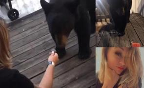 Tânăra hrăneşte ursul care stă la o mică distanţă şi mănâncă din palmă