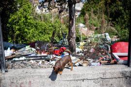 Afacerea bănoasă și ilegală a unui român din Italia s-a dus pe apa sâmbetei. Poliţiştii l-au arestat pe loc