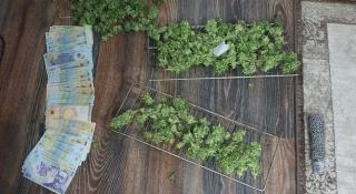 Traficantul din Bihor ar putea fi arestat preventiv pentru 30 de zile