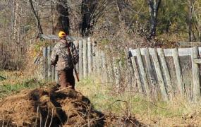 Un bărbat și-a împușcat prietenul la vânătoare, în Sighetu Marmației