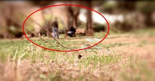 Român răpit, sechestrat și torturat de șefii unei rețele de droguri, în Italia