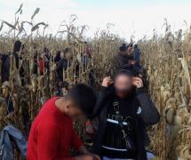 Migrant înjunghiat pentru că i-a fost frică să treacă înot Crişul Negru, călăuza a fost arestată