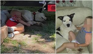 Băieţelul şi câinele său