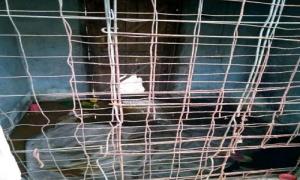 Femeie ţinută 4 ani în robie de soţul ei, într-o cuşcă, timp în care a născut de trei ori: "Este o vrăjitoare periculoasă"