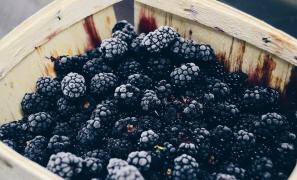 (P) Ce trebuie să știi când cumperi o ladă frigorifică