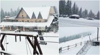 Ninge la munte, este cod galben de ninsori şi viscol în 11 judeţe. La Rânca, s-a depus strat important de zăpadă