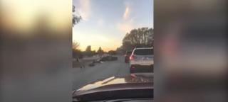 Un adolescent a distrus mașina de 3,4 milioane de dolari, a tatălui său, după ce a pierdut controlul volanului.