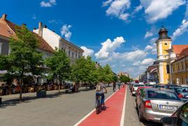 Mai multe oraşe din nord-vestul ţării intră în carantină zonală