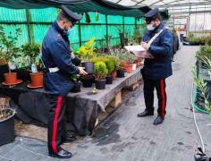 Românul implicat în acest caz are 45 de ani