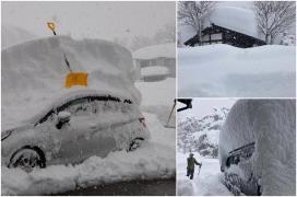 Ninsori abundente în Japonia