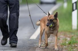 Românul este acuzat de comiterea a două infracţiuni