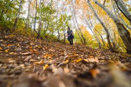 Un bărbat a mers pe jos sute de kilometri pentru a se calma după o ceartă cu soția.