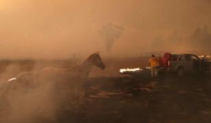 Incendiu în Australia