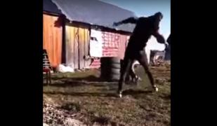 Adolescentă bătută