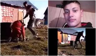 Agresor de 19 ani, la Suceava