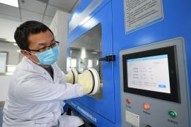 Românul s-a îmbolnăvit pe nava Diamond Princess