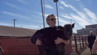 Actorul din Joker a salvat o vacă și un vițel