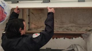 Şofer român arestat