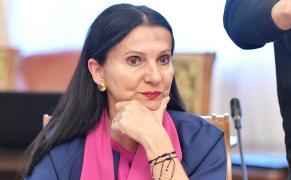 Sorina Pintea într-o conferință de presă