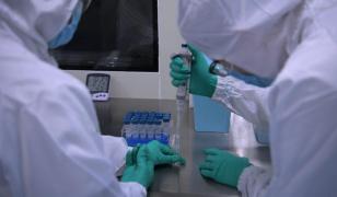 Probe recoltate greşit