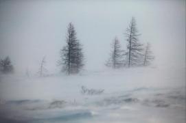 Alertă cu efect imediat de fenomene meteo periculoase