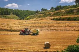 8 statistici agricole care te-ar putea interesa anul acesta