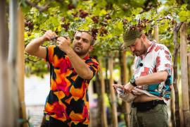 Alex Abagiu și Radu în Asia Express