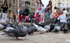 5 evenimente din Timișoara pe care să nu le ratezi în 2020