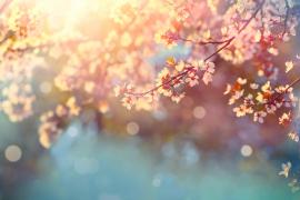 Vremea 17 - 29 martie 2020