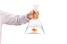 Un bărbat ține în mână un pește într-o pungă