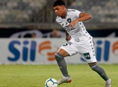 Luis Henrique, Botafogo