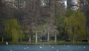 Coronavirus în România