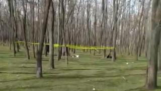 Bărbatul din Lumina a fost găsit mort într-o pădure din Năvodari
