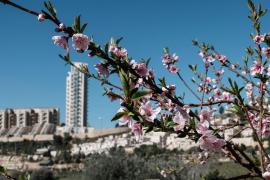 Recordul de temperatură medie pentru decembrie-februarie a fost depăşit cu 1,4 grade Celsius