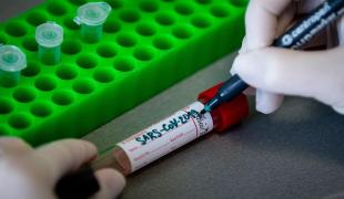 Coronavirus în România