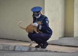 Polițistă româncă cu mască și mănuși ține o pisică în brațe
